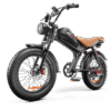 C93 - 20 Inch 20A Electric Bike