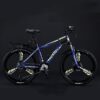 Variable Speed Shock Absorption Mountain Bike